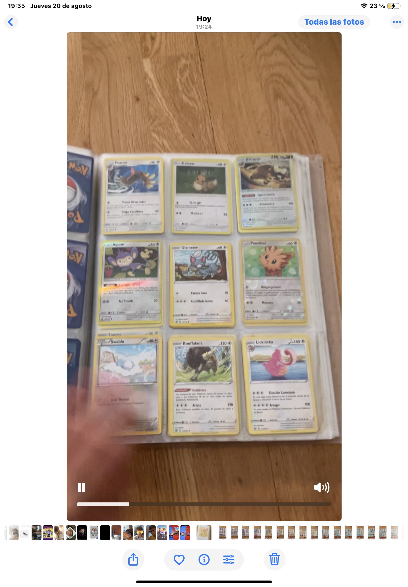 Aipom