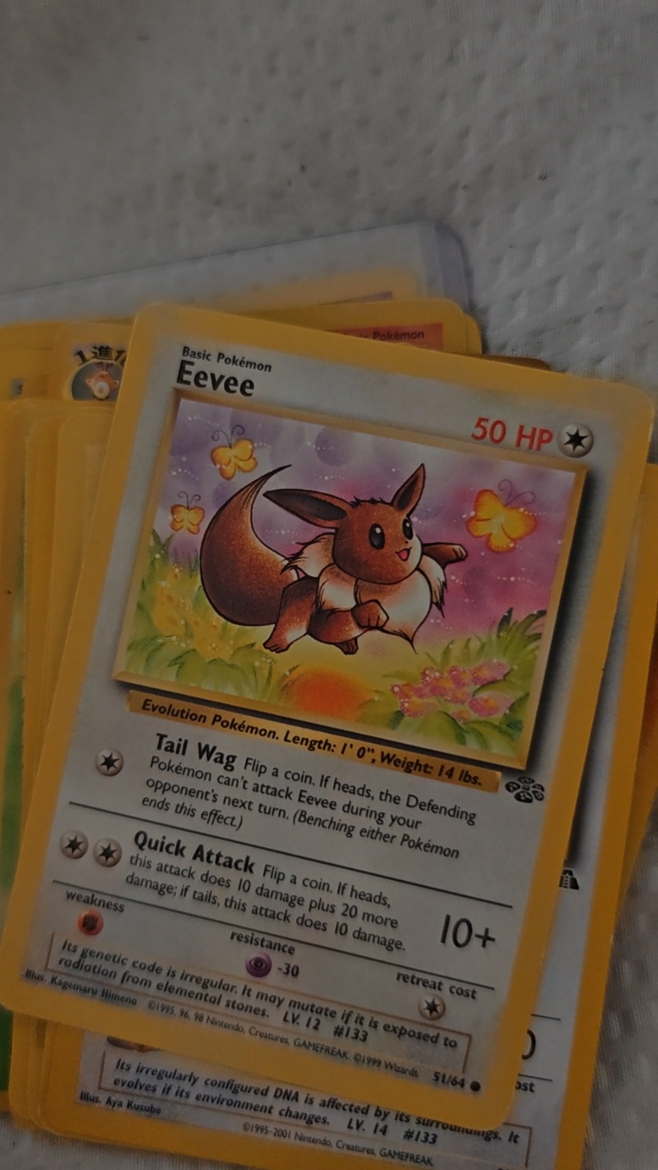 Eevee - alternate view