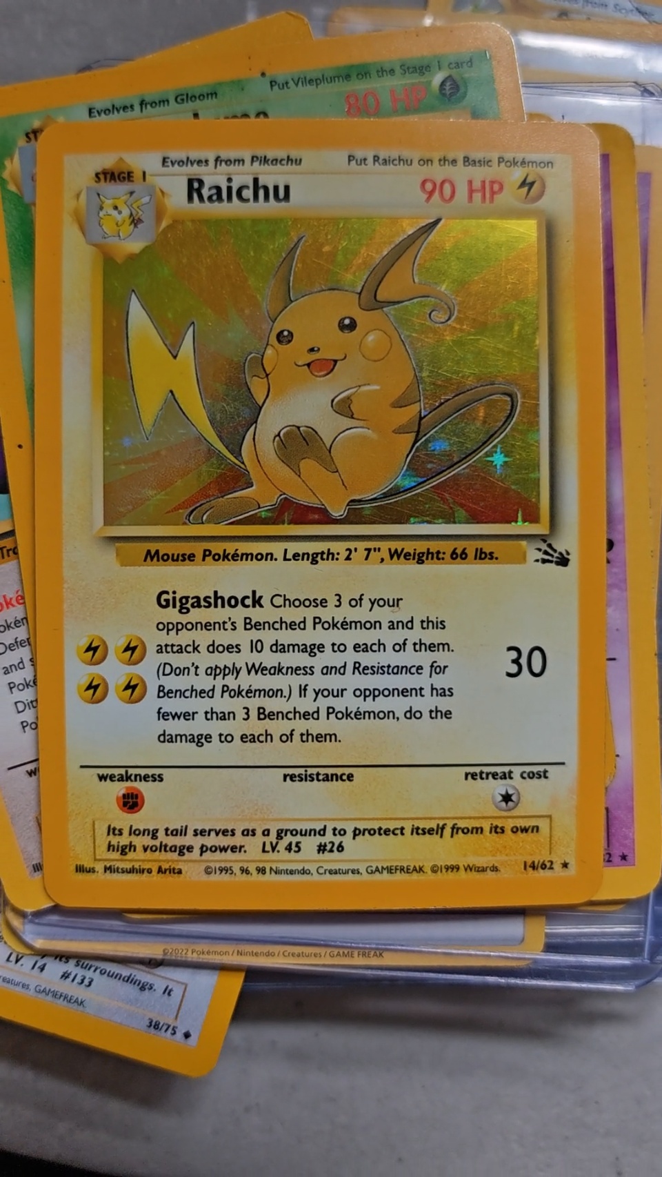 Raichu - alternate view