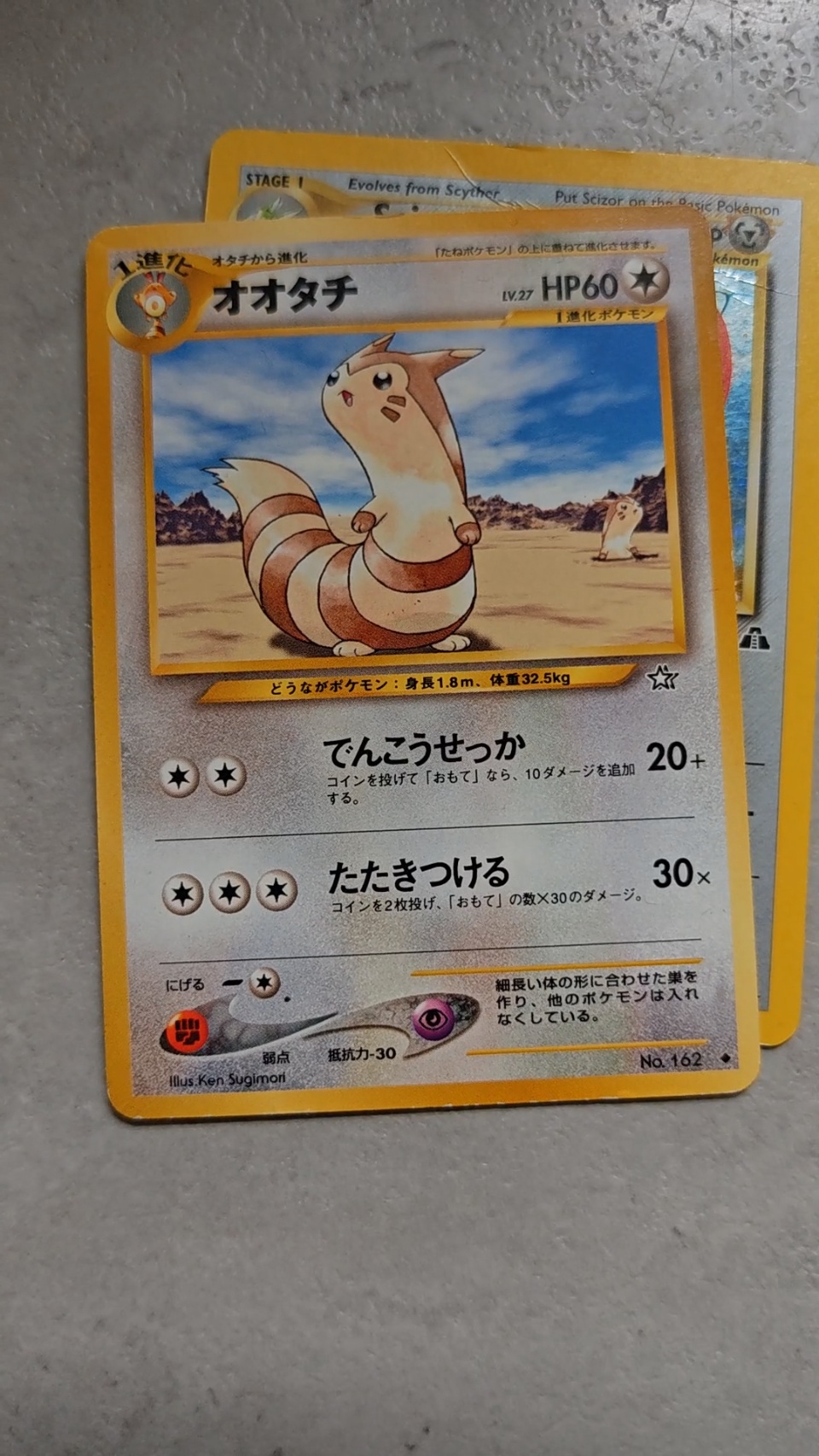 Furret - alternate view