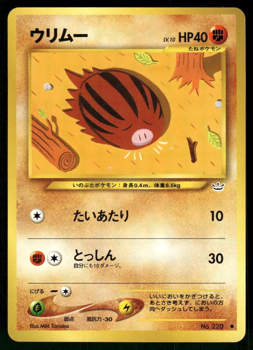 Swinub